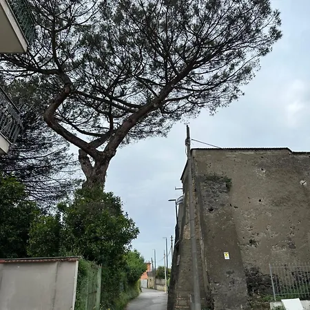 B&borrelli La Dimora Dell Artista בית הארחה נאפולי