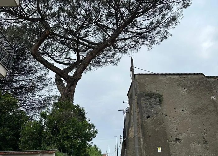 B&borrelli La Dimora Dell Artista Pensjonat Neapol